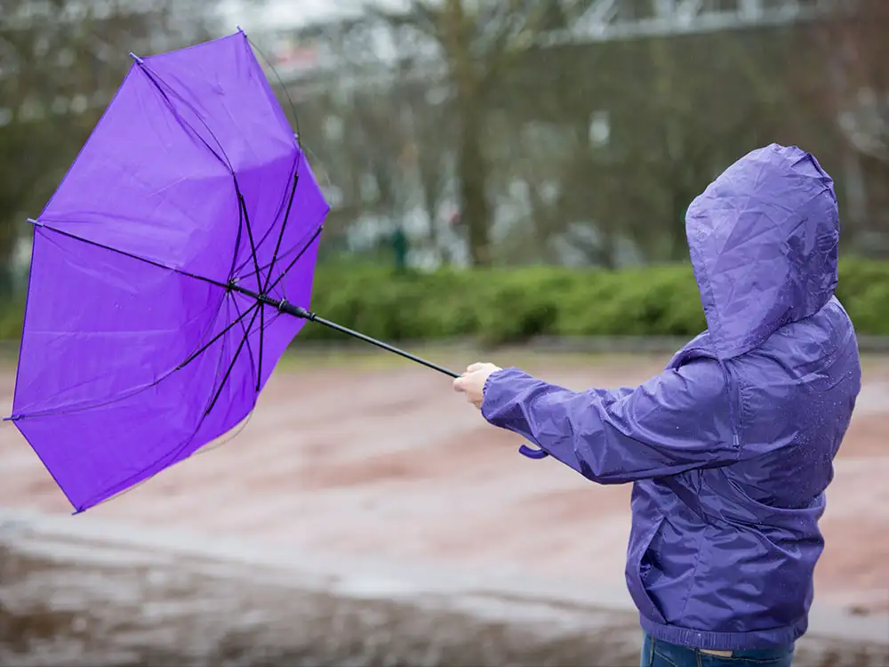 Storm Boelo weather warning now covers York and all of North Yorkshire