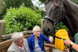 ‘Horsey hugs’ on offer as Remy and Poppy visit hospice