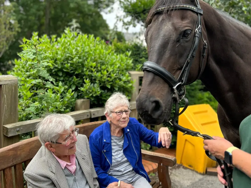 ‘Horsey hugs’ on offer as Remy and Poppy visit hospice